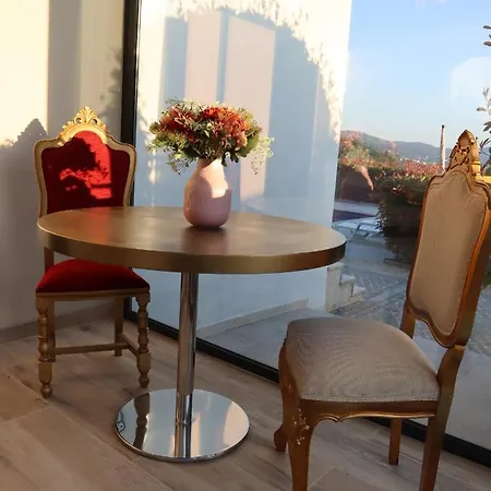 S Tiago House *